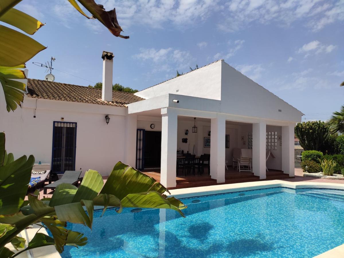 Villa With Private Pool, Bbq, Fitness Center & Sauna San Vicente Raspeig Eksteriør bilde