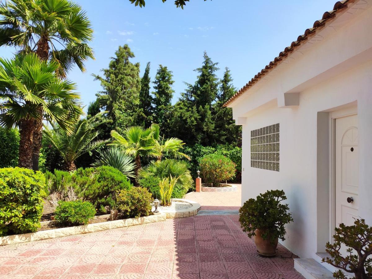Villa With Private Pool, Bbq, Fitness Center & Sauna San Vicente Raspeig Eksteriør bilde