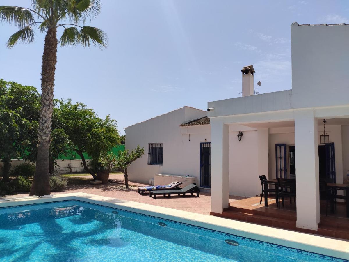 Villa With Private Pool, Bbq, Fitness Center & Sauna San Vicente Raspeig Eksteriør bilde