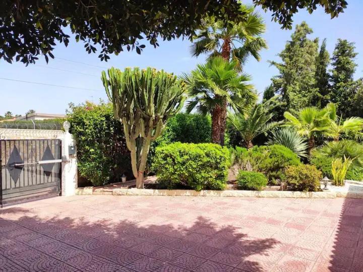 Villa With Private Pool, Bbq, Fitness Center & Sauna San Vicente Raspeig Eksteriør bilde